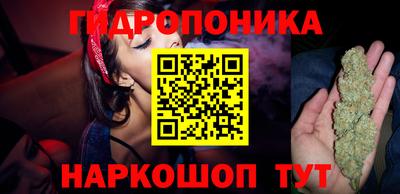 амф Гудермес