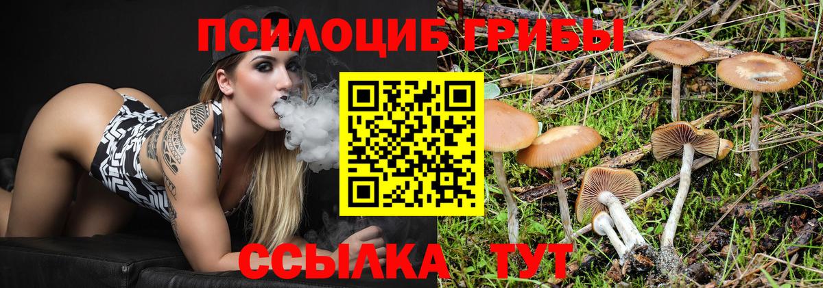 Галлюциногенные грибы Psilocybine cubensis Владивосток