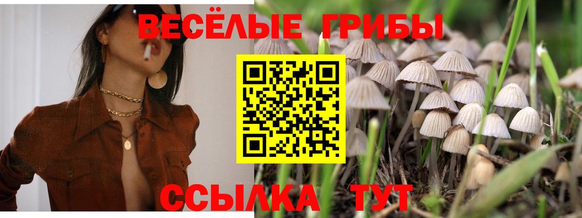 Псилоцибиновые грибы GOLDEN TEACHER  Псилоцибиновые грибы ЛСД  Владивосток  Вход с VPN 